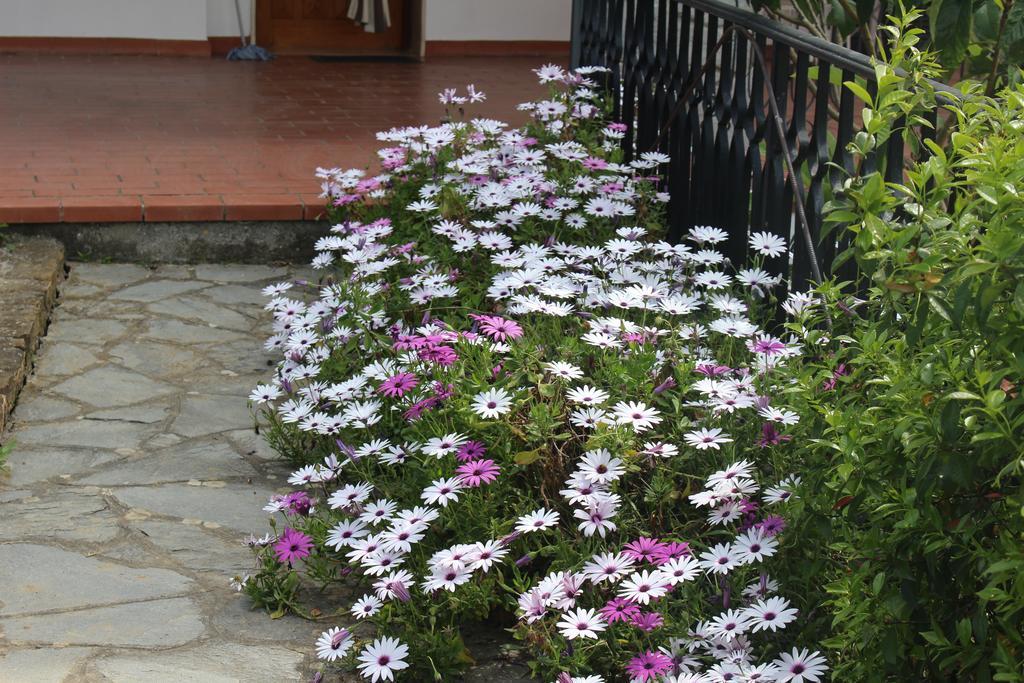 Apartament House In Caramagna Imperia Pokój zdjęcie